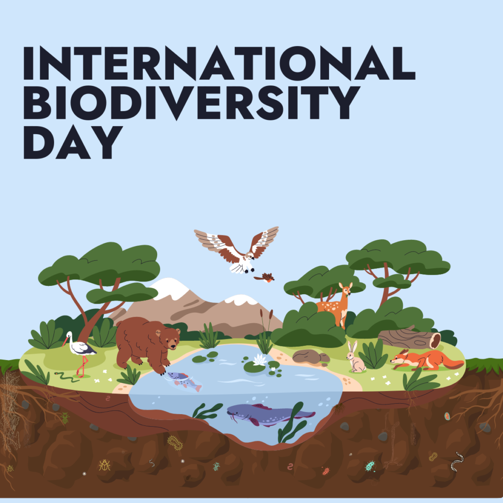 Read more about the article Celebrating Nature: International Day for Biodiversity.