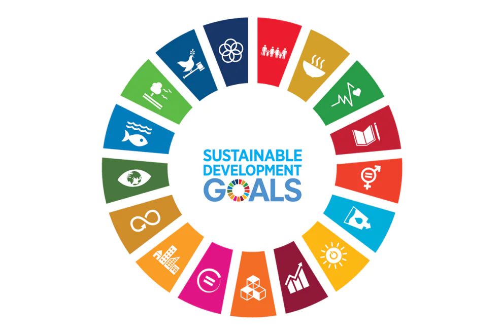Call for Experts: Monthly SDG Webinar Series